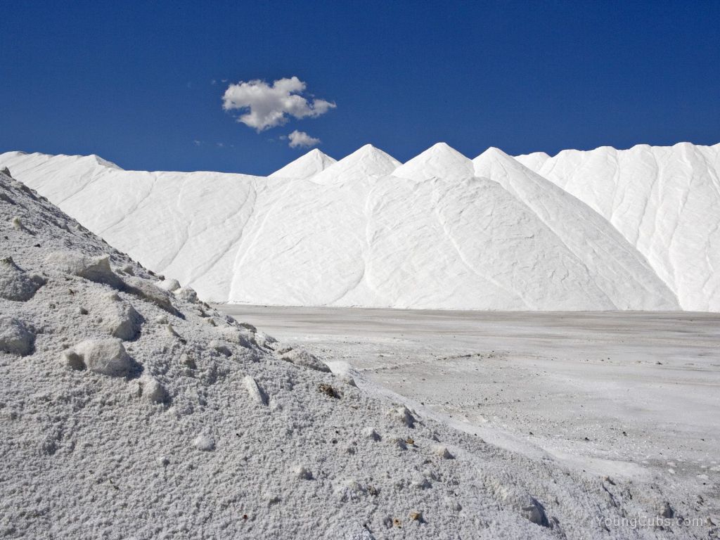Salt Mounds, Near Great Salt Lake, Utah